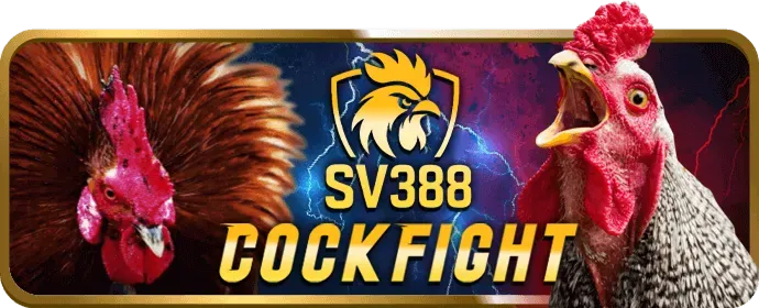 Đội ngũ hỗ trợ vf222